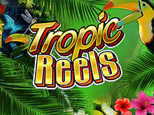 Игровой автомат Tropic Reels