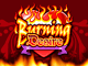 Игровой автомат Burning Desire