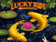 Игровой автомат Lucky Koi