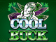 Игровой автомат Cool Buck